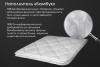renome_42-042_3