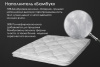 renome_42-91_4